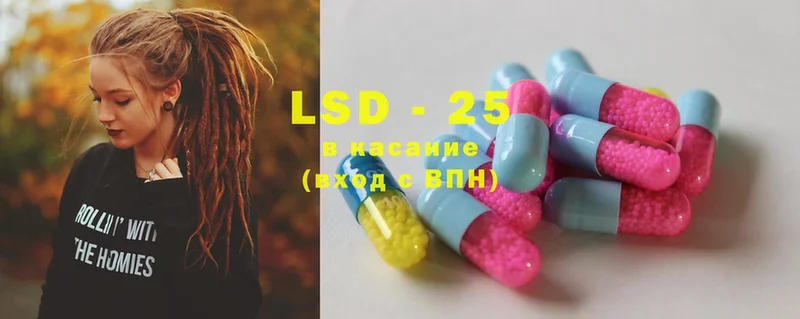 дарнет шоп  Лесной  Лсд 25 экстази ecstasy 